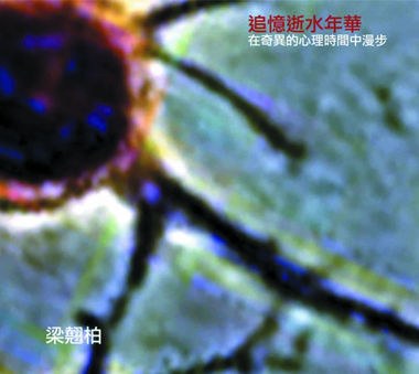 追忆逝水年华