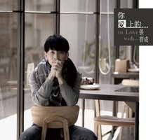 你愛上的...