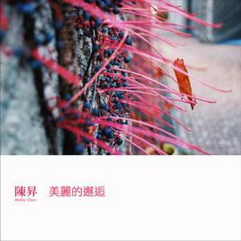美丽的邂逅