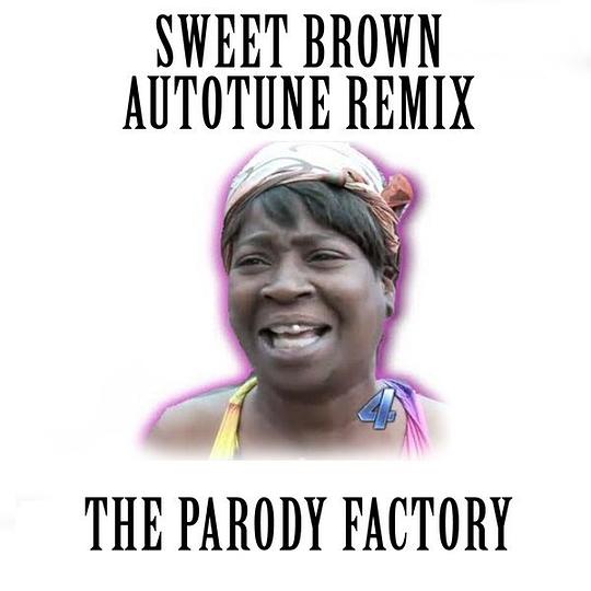 Ain’t Nobody Got Time for That (feat. The Parody Factory) – Single