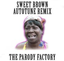 Ain’t Nobody Got Time for That (feat. The Parody Factory) – Single