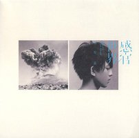 感官/世界