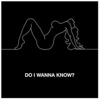 Do I Wanna Know?
