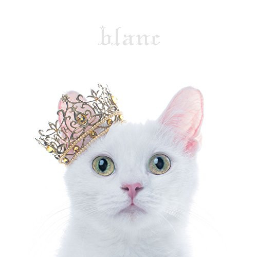 BEST SELECTION “blanc"