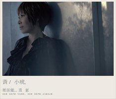 如果能…重来