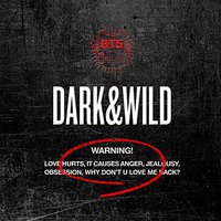 1집 Dark & Wild