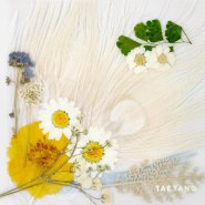 3집 WHITE NIGHT