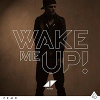 Wake Me Up