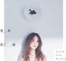 青春住了谁