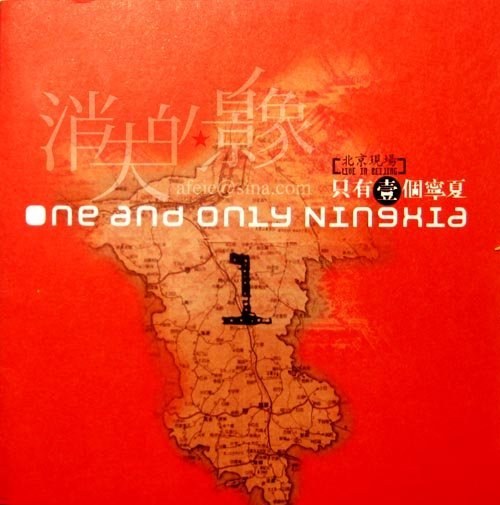 只有一个宁夏