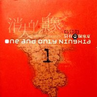 只有一个宁夏