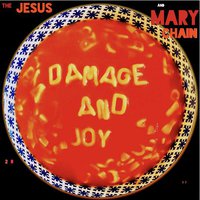 Damage & Joy