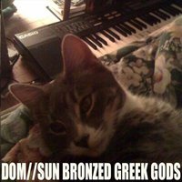 Sun Bronzed Greek Gods