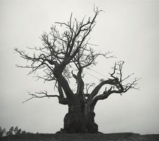 SEKAI NO OWARI 2010-2019[通常盤]