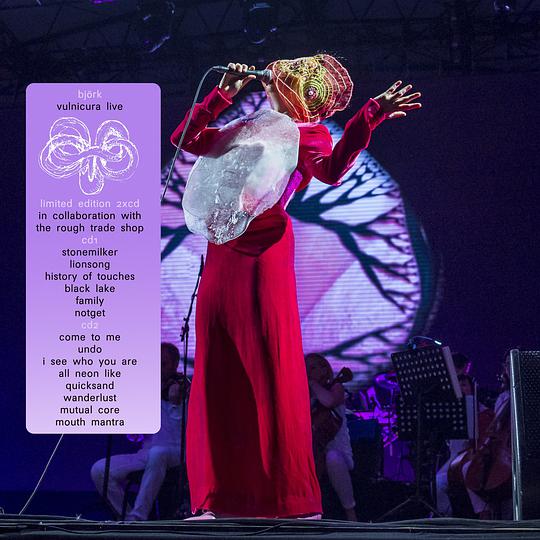 Vulnicura Live