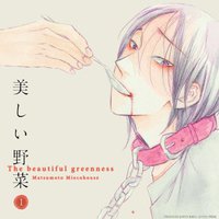 漂亮的蔬菜1
