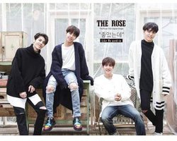 The Rose 2nd Single ‘좋았는데’