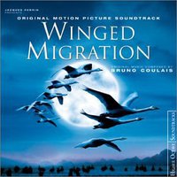 鸟与梦飞翔 / Winged Migration / le peuple migrateur