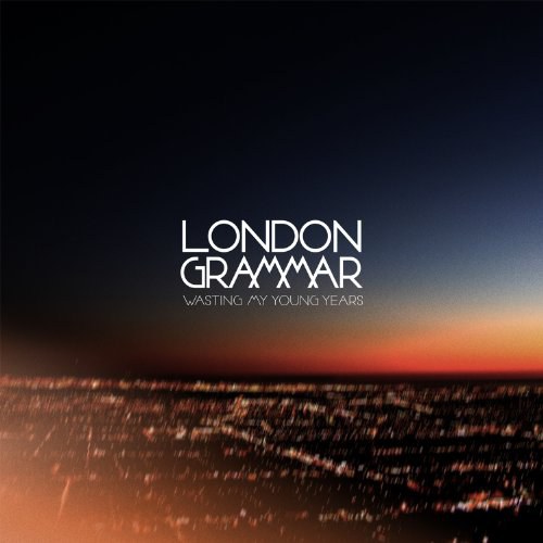 Wasting My Young Years [VINYL]