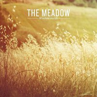 The Meadow