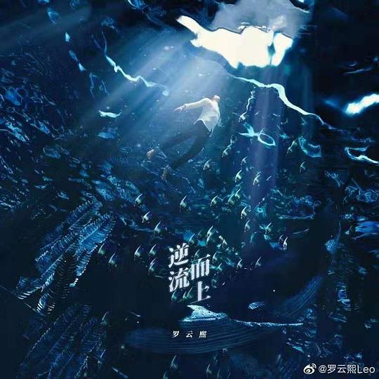 逆流而上