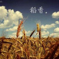 稻香