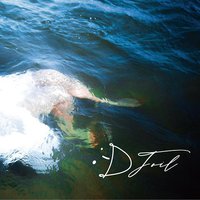 :​-​D Foil