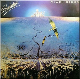 Night Birds