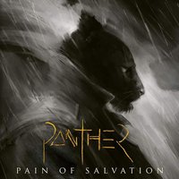 Panther