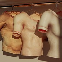 衣柜歌手
