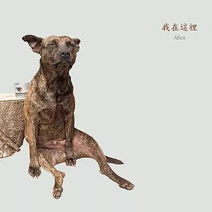 我在这里