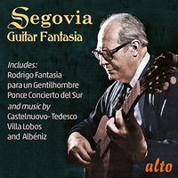 Guitar Fantasia