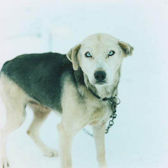 Winter EP