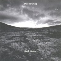 Dark Wood