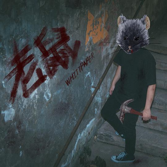老鼠