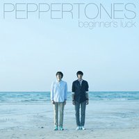 4집 Beginner's Luck