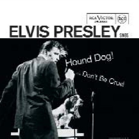 Hound Dog