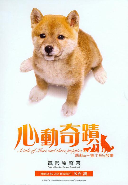 A Tale Of Mari And Three Puppies
