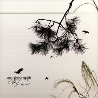 Fly