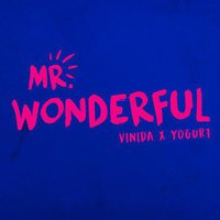 Mr.Wonderful