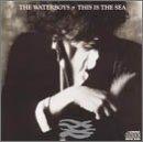 This Is The Sea