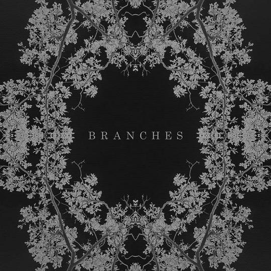 Branches