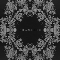 Branches