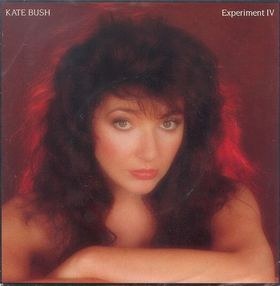 Experiment IV