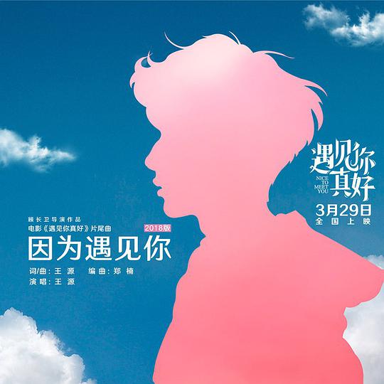 因为遇见你(2018版)