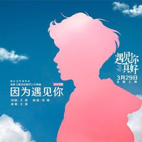 因为遇见你(2018版)