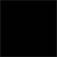 The Black Album