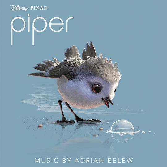 Piper