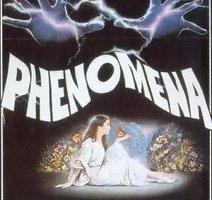 Phenomena