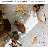 Franz Schubert: Sonatas & Impromptus